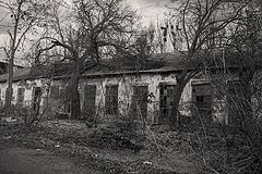 photo "***"