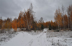 фото "Рыжеволосая зима"