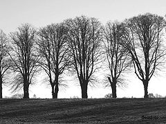 фото "Landscape"