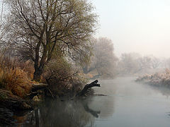 photo "***"