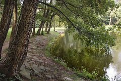 photo "***"