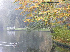фото "Autumn"