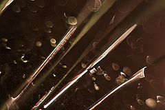 photo "***"
