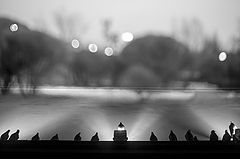 photo "***"