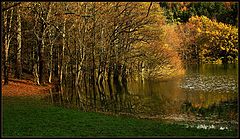 фото "Autumnal pastel"