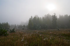 фото "Утро седое"