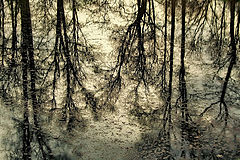 photo "***"