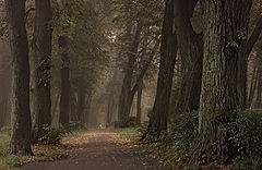 photo "***"