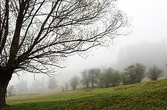 фото "Мъгла"