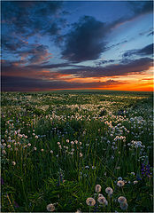 photo "***"