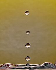 фото "Four drops"