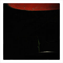 photo "***"