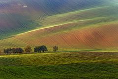 фото "Краски осени в Южной Моравии"
