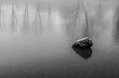 photo "***"