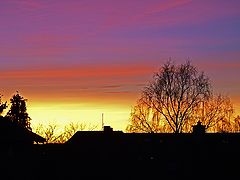 photo "Evening Colors"