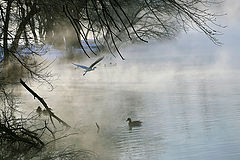 photo "***"