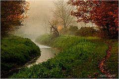 фото "good morning"