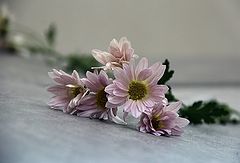 photo "***"