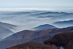 photo "***"