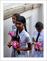 photo "Sri Lanka - impression-10"