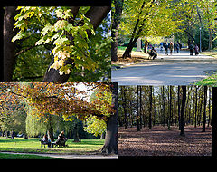 фото "Осенное настроение"