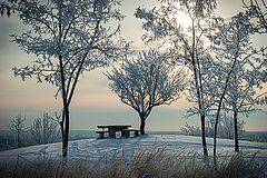 фото "Сказочная зима"