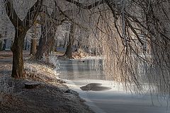 photo "***"