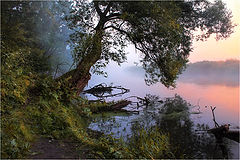 photo "***"