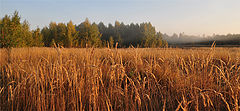 фото "Раннее утро"