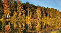 фото "Опаленные солнцем"