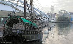 фото "Genoa, aquarium area: the old and the new"