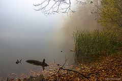 photo "***"