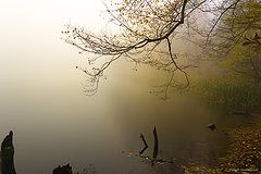 photo "***"