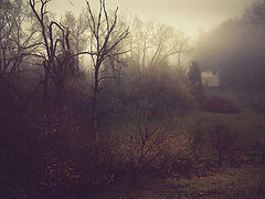 photo "Abandoned"
