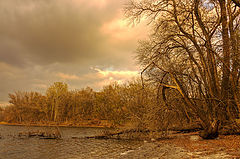 photo "***"
