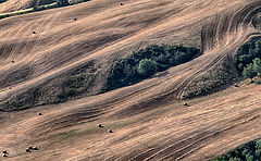 фото "Мышцы земли"