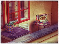 фото "***"