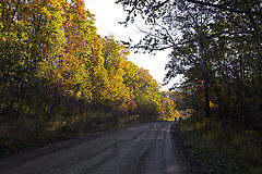 photo "***"