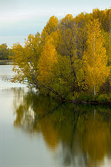 photo "***"