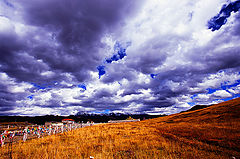 фото "autumn"