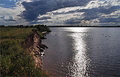 фото "Волнение перед дождем"