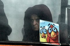 photo "Angry Birds"