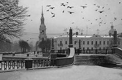 photo "Birds"
