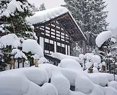 фото "Дом засыпанный снегом."