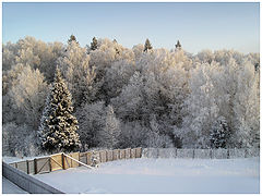 photo "Outside the village"