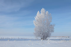 photo "***"