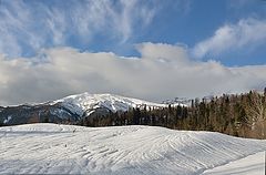 фото "В горах Адыгеи."