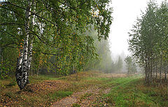 photo "***"