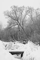 photo "***"