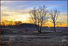фото "photo 3000"